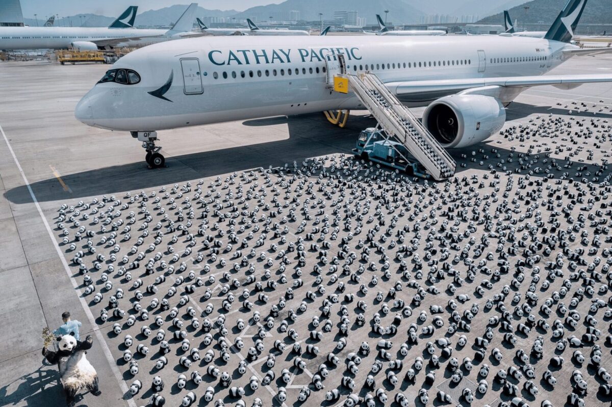 2,500 panda sculptures displayed at Hong Kong International Airport