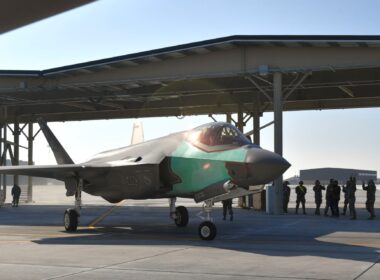 USAF F35 frankenbird