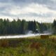 A Royal Air Force Eurofighter Typhoon taking off from a Finnish road