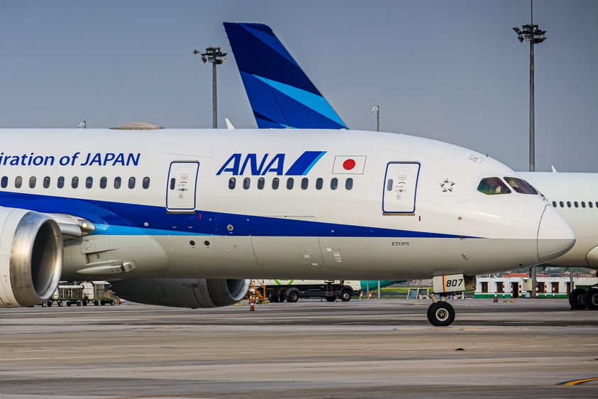 ANA 787