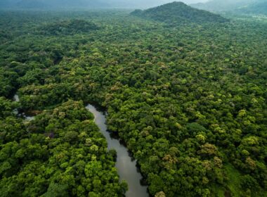 Amazon jungle Colombia