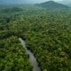 Amazon jungle Colombia