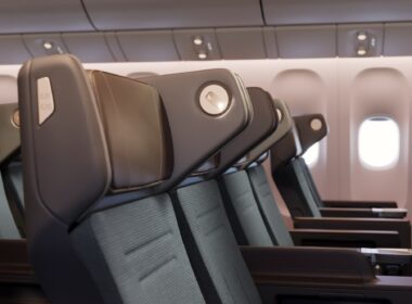 Cathay Premium Economy headrest