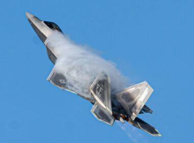 F22 Raptor in flight