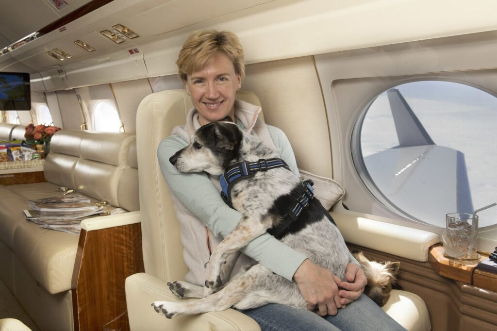 K9 JETS private jet pets