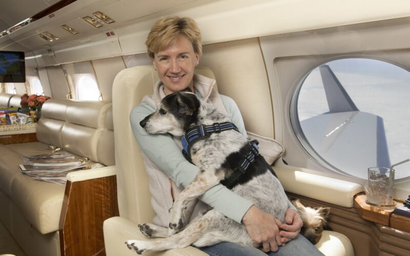 K9 JETS private jet pets