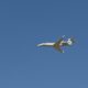 The first EA-37B Compass Call arrives overhead at Davis-Monthan AFB, Arizona