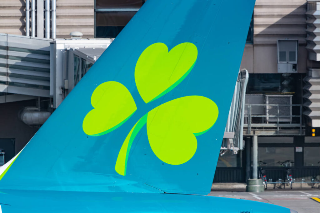 aerlingus_airbus_a320_wing_clove.jpg