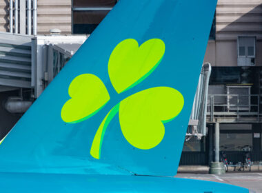 aerlingus_airbus_a320_wing_clove.jpg