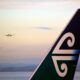 air_new_zealand_tail_in_sunset-2.jpg