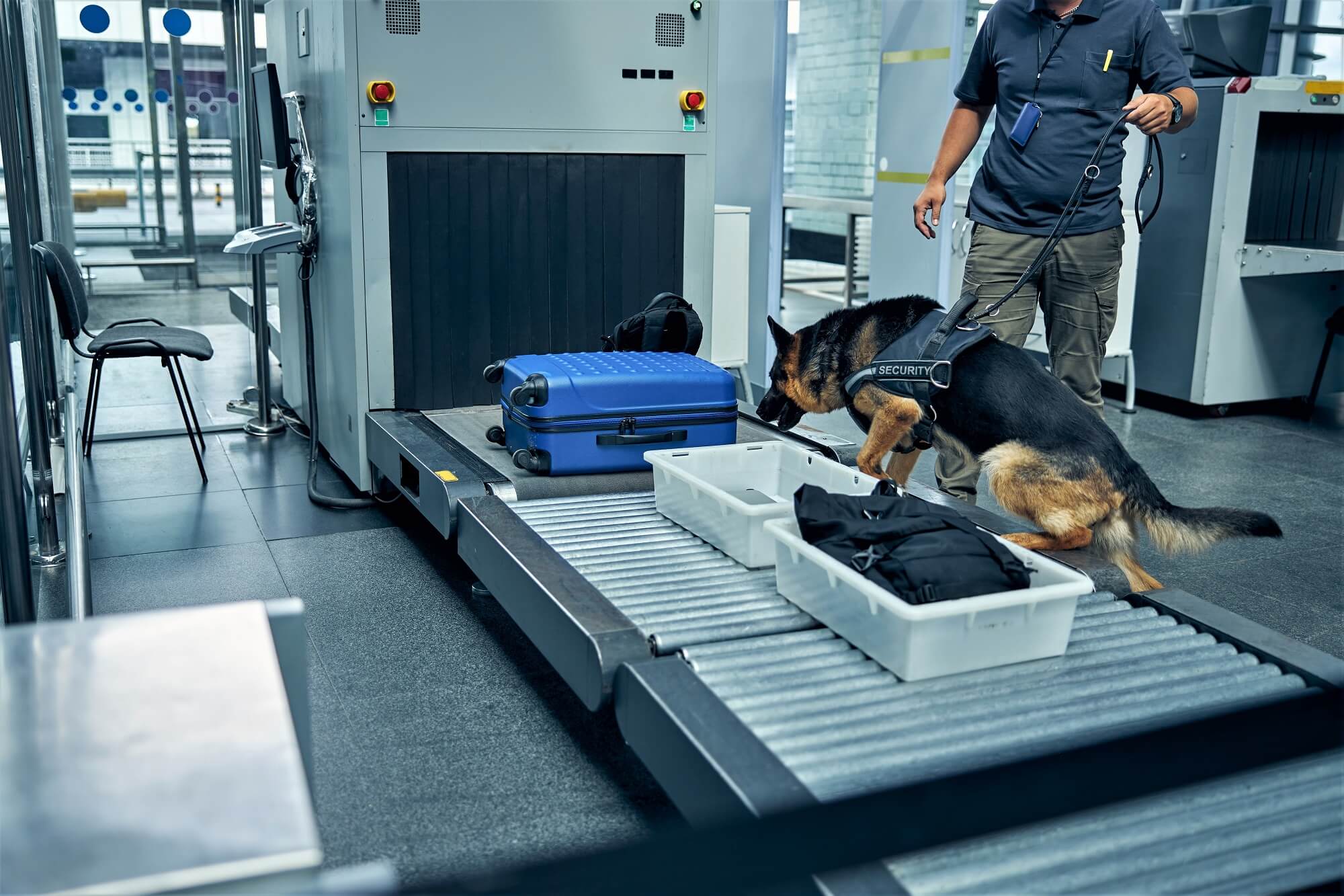 airport security