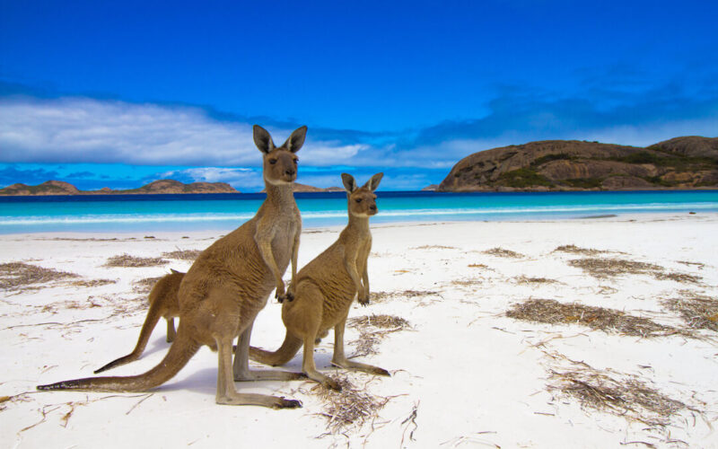 australia_may_open_its_borders_to_intl_tourists_by_easter.jpg