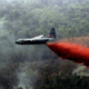 brasil-brazil-fire-plane-water-amazon-bomber-forest.png