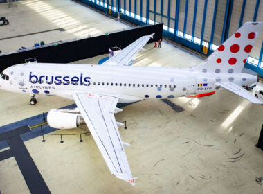 brusselsairlines_bird_13.jpg