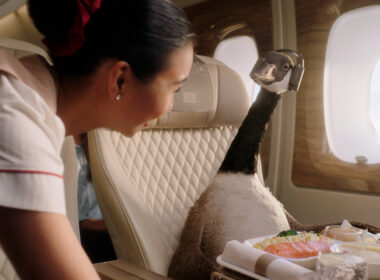 gerry_the_goose_on_emirates.jpg