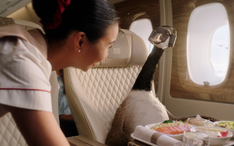 gerry_the_goose_on_emirates.jpg