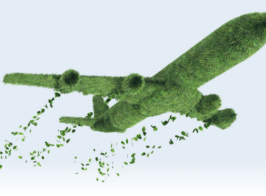 green-flying-image-2.png