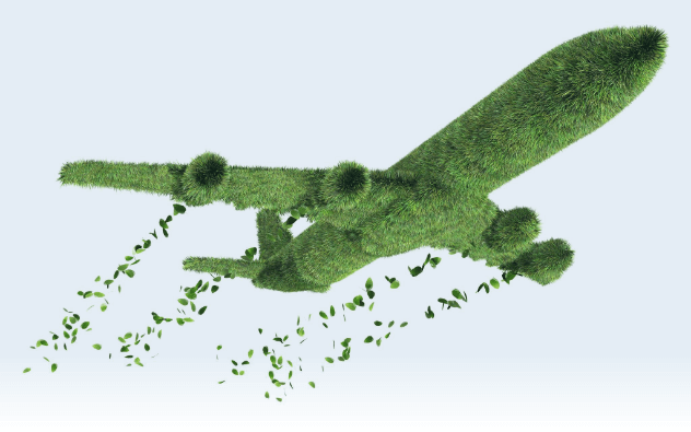 green-flying-image-2.png