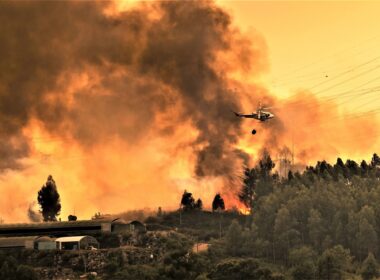 helicopter_fighting_against_a_forest_fire.jpg