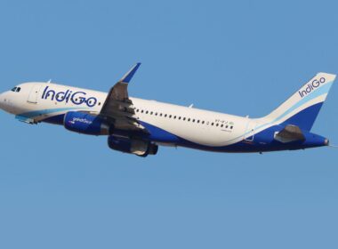 indigo.jpg