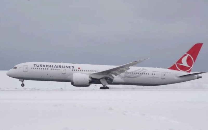 istanbul_airport_under_snow.jpg