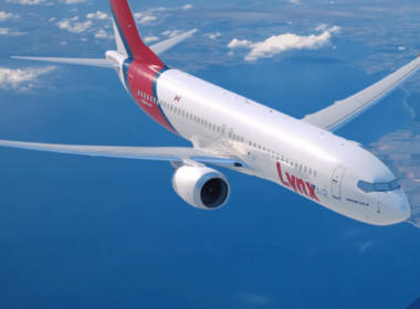 lynx_boeing_737_max_8-2.png