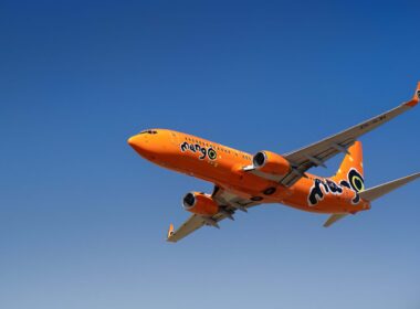 mango_airlines-2.jpg