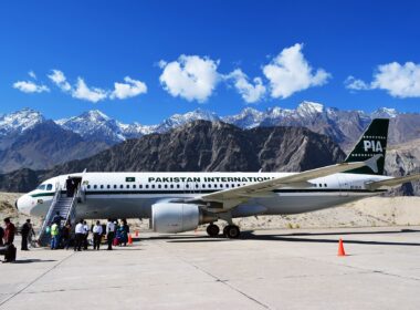 pakistan_international_airlines_pia_a320-2.jpg