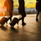 people_walking_through_an_airport_building.jpg