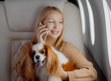 pets business class