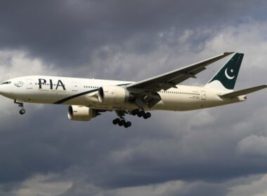 pia_-1.jpg