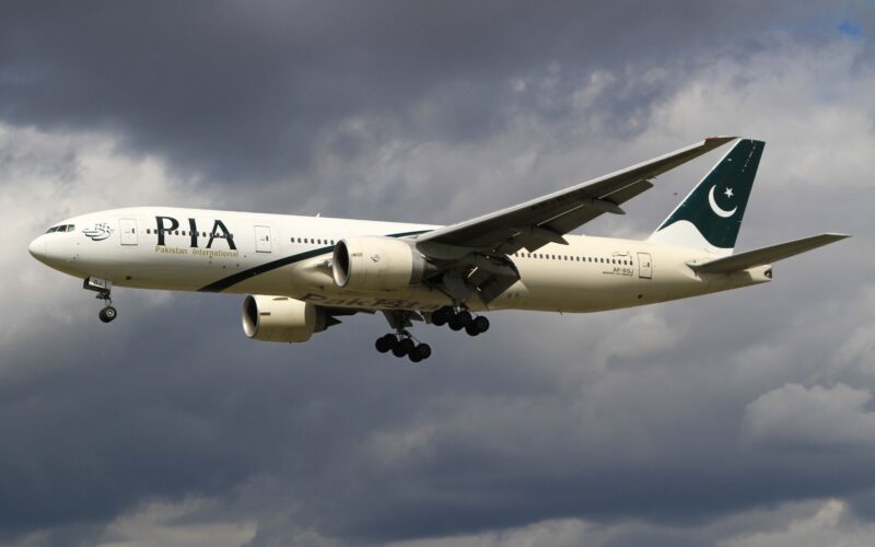 pia_-1.jpg