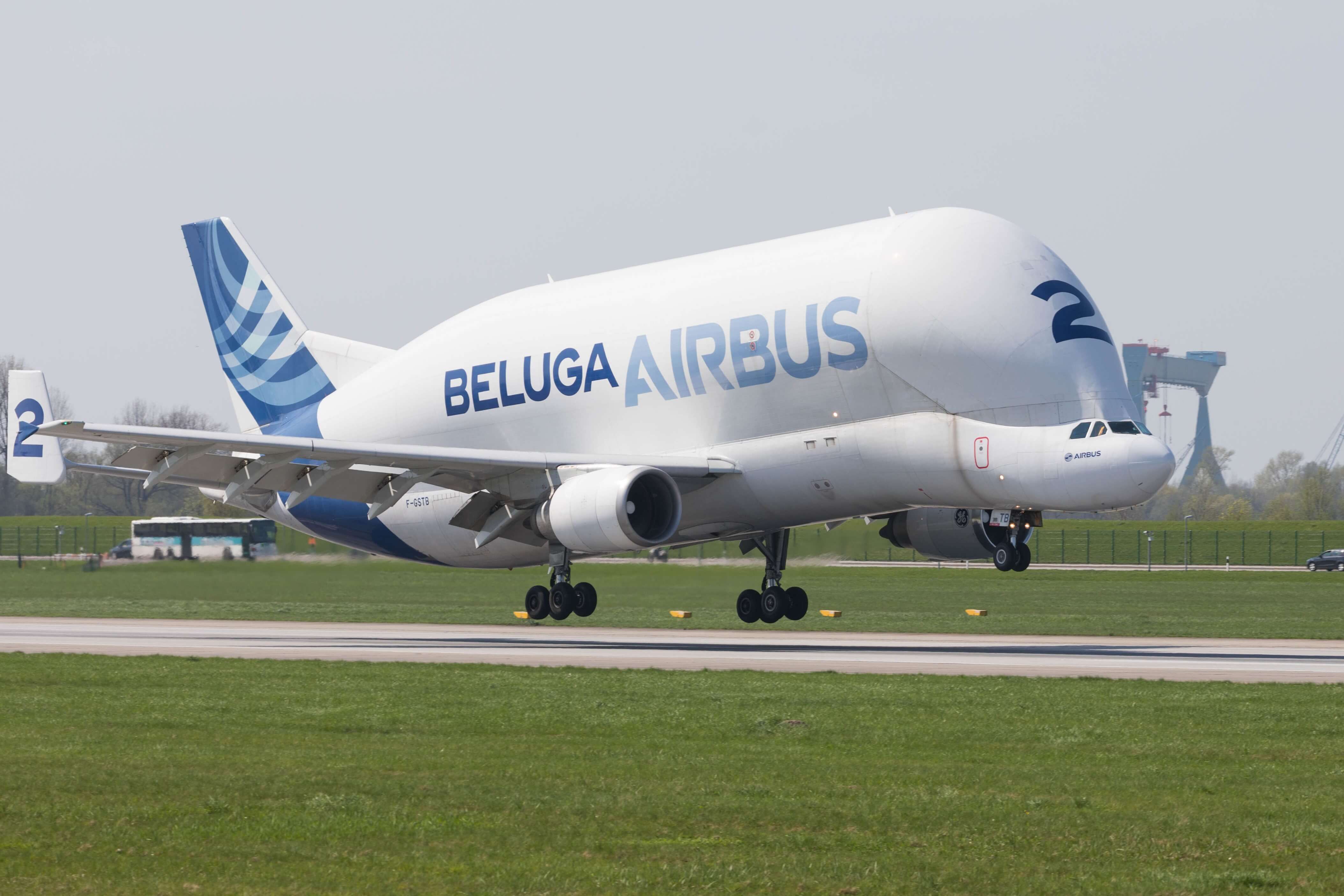 Beluga Airbus A300-600ST 