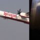 spicejet_q400.jpeg