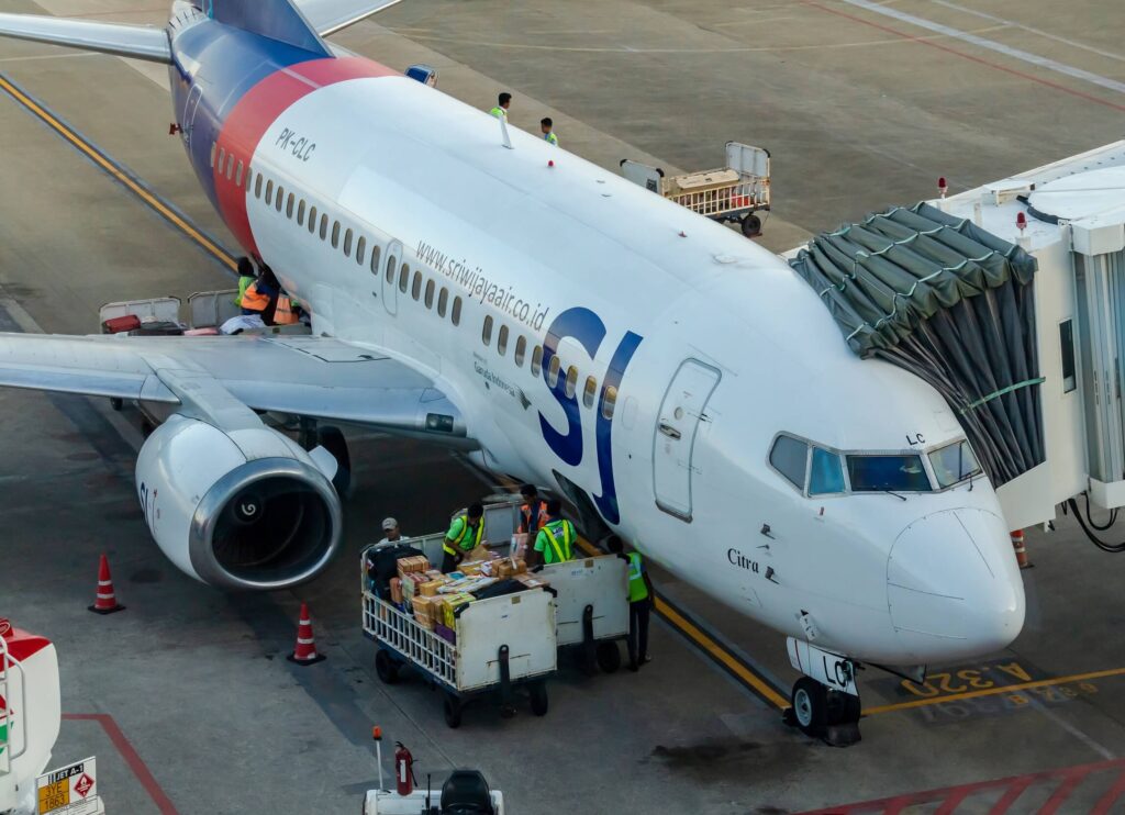 sriwijaya_air_boeing_737_which_dissappeared-5.jpg