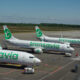 transavia_boeing_737_parked.jpg